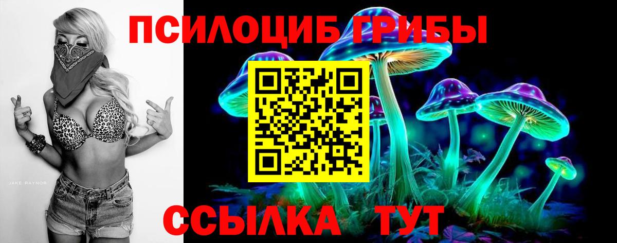 Галлюциногенные грибы прущие грибы  Вход с VPN  Воронеж 